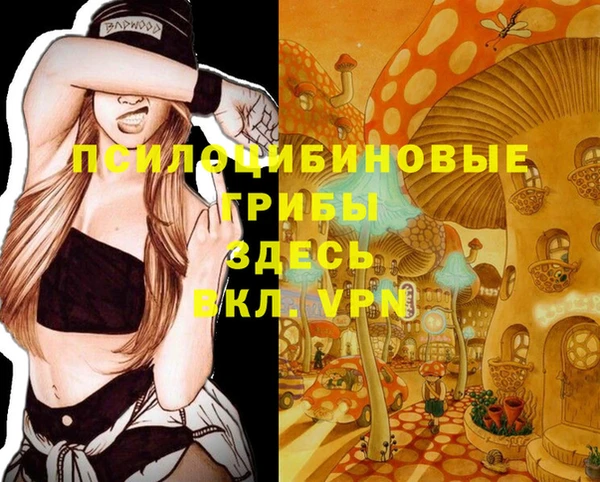 прущие крисы Аркадак