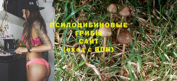 гидропоника Арсеньев