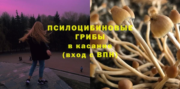 прущие крисы Аркадак
